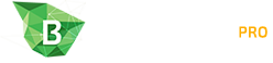 beehosting_pro_logo_3