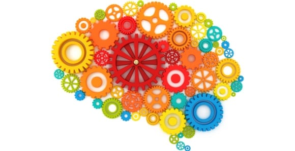 Автоматизация SEO color brain gears