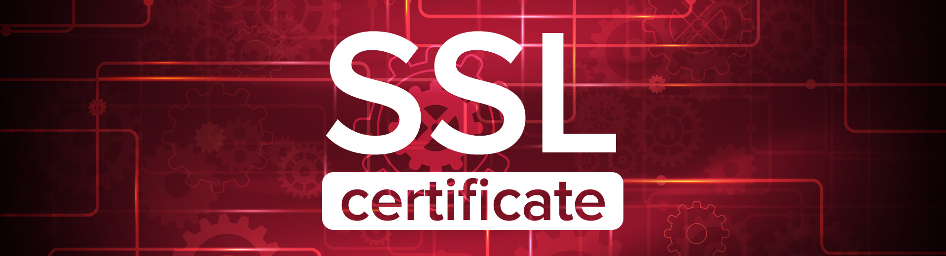Типы SSL &#8211; сертификатов