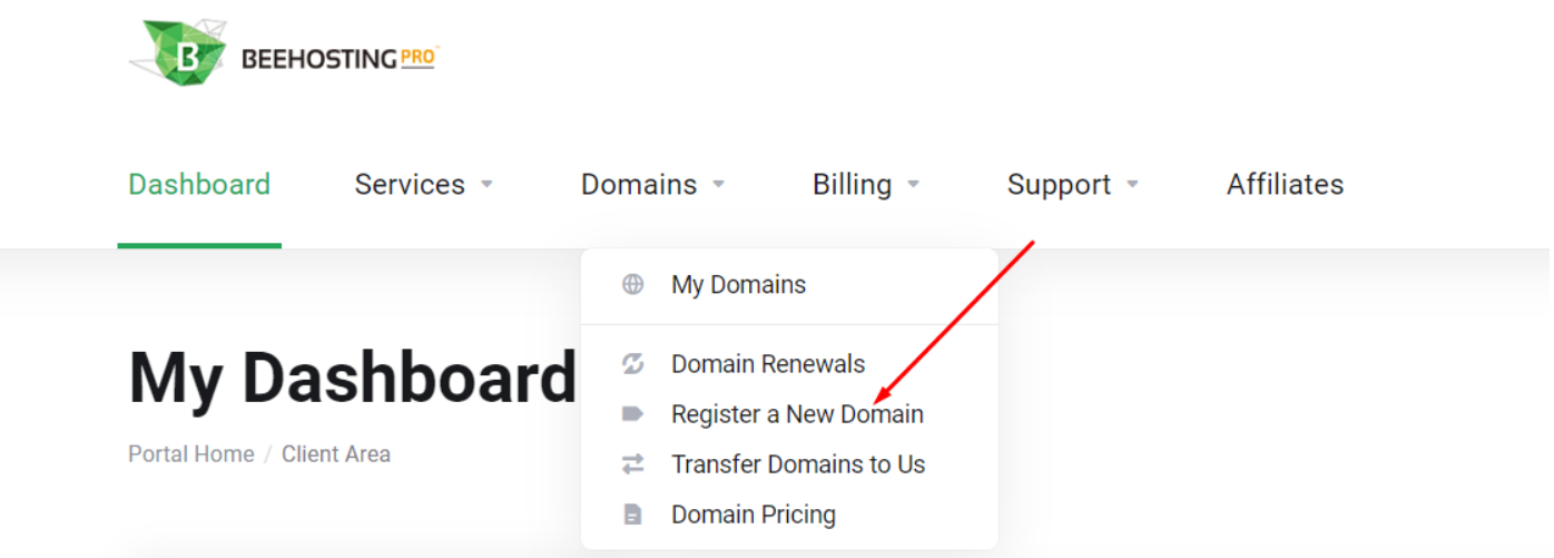 How to register and buy a domain name register a new domain