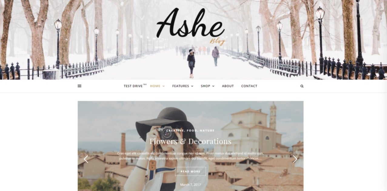 Best Free WordPress Themes wordpress theme ashe
