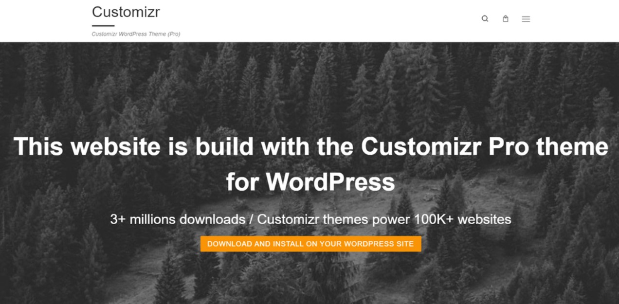 Best Free WordPress Themes wordpress theme customizr