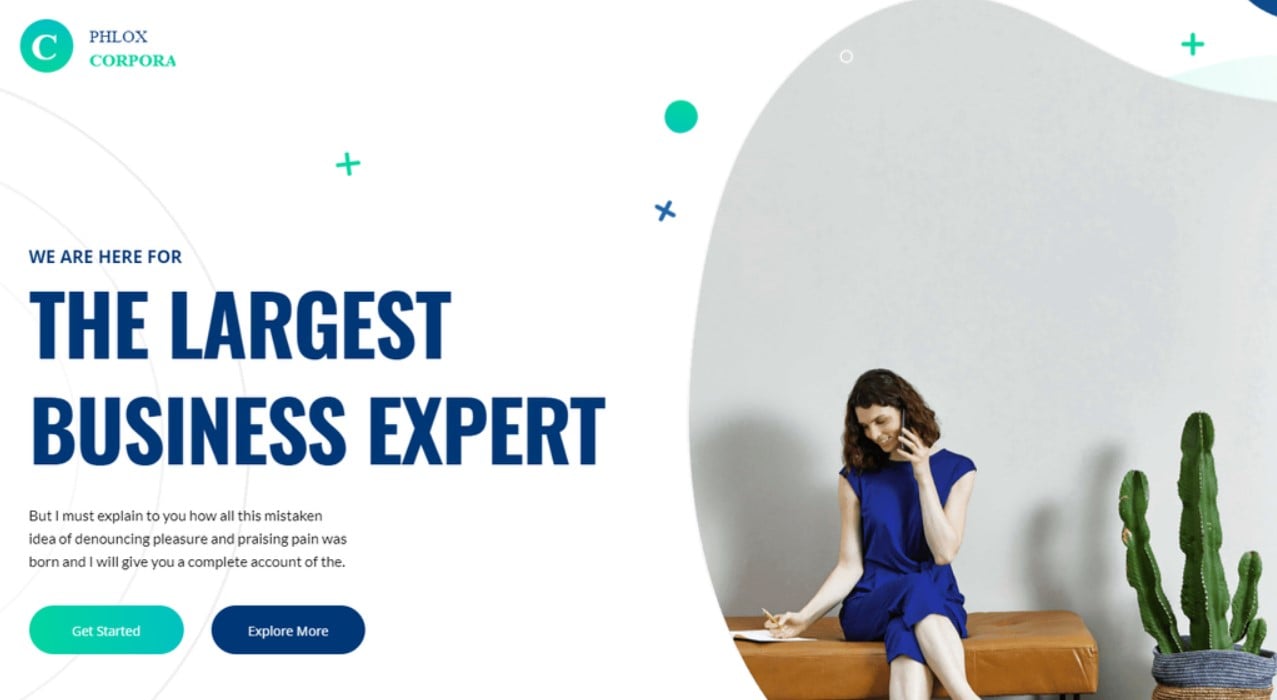 Best Free WordPress Business and Agency Themes wordpress theme phlox