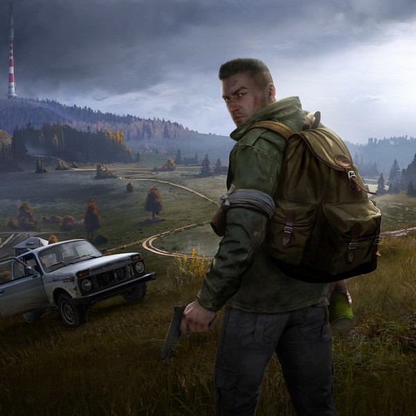 Хостинг игровых серверов wall dayz
