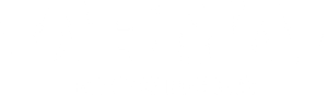 Хостинг игровых серверов arma reforger logo white 300x87