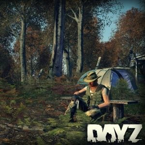 Dayz server hosting