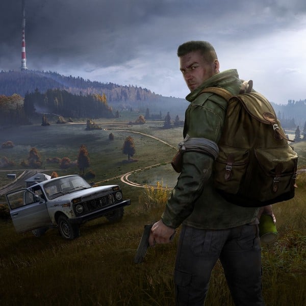 Dayz server hosting